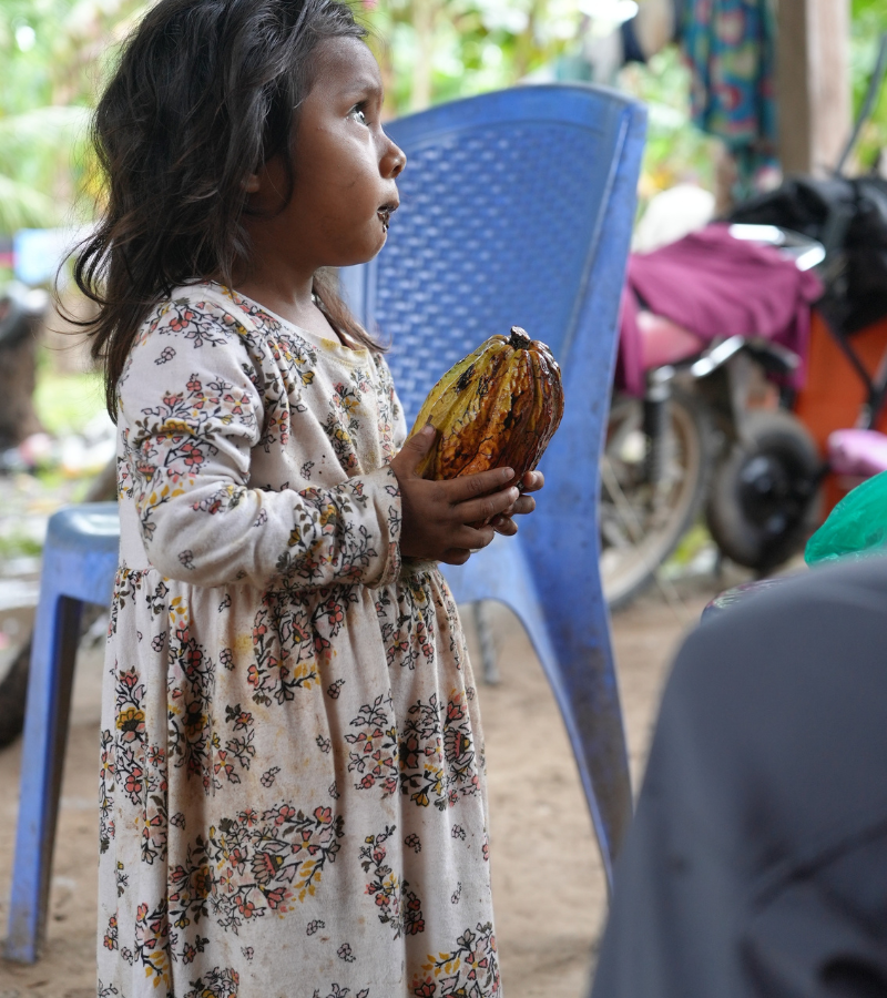 The Bittersweet Future of Cacao: For Farmers and Consumers 7 The Bittersweet Future of Cacao: For Farmers and Consumers 3