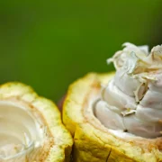 kristiana-pinne-IYICRYI9MtM-unsplash 1