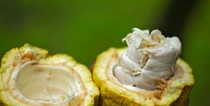 kristiana-pinne-IYICRYI9MtM-unsplash 1