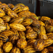 Cacao en Autriche