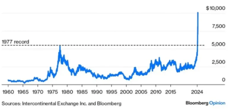 Résoudre la Pénurie de Cacao : Comment Cela Transforme le Monde du Chocolat 4