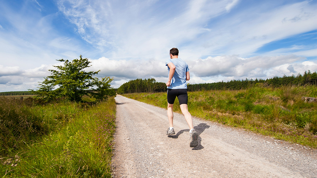 Le Cacao Aide-t-il À Vivre Plus Longtemps ? 2 Santé-Chocolat