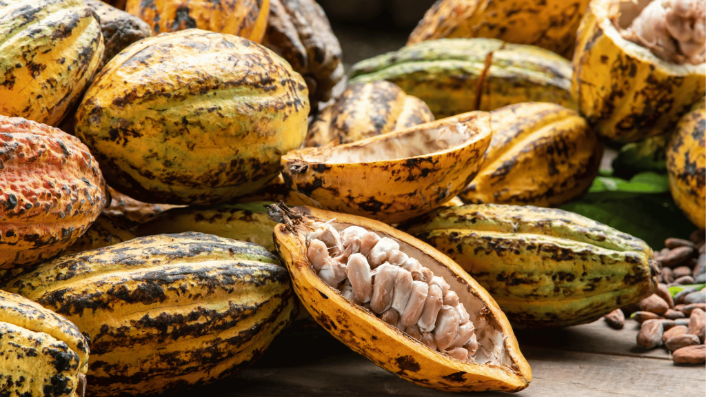 Which country produces most cacao
