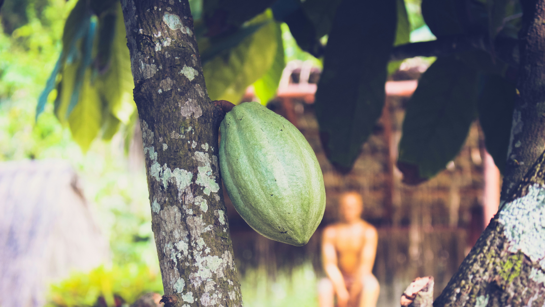 Erkundung der Landschaft in Kanada 2 Kakao-Kanada
