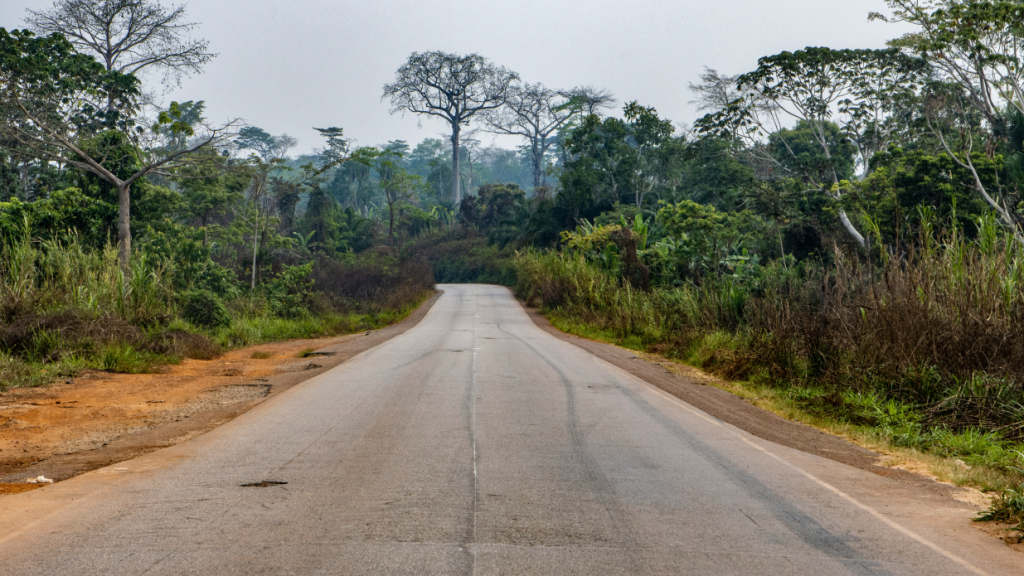 cacao-production-cameroon