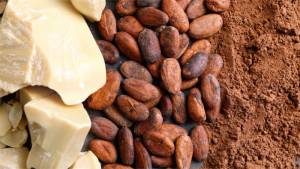 cacao-powder-body-treatment-featured-image