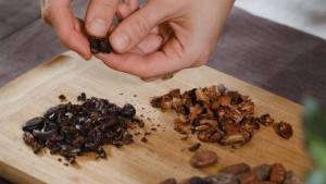 Cacao cocoa difference