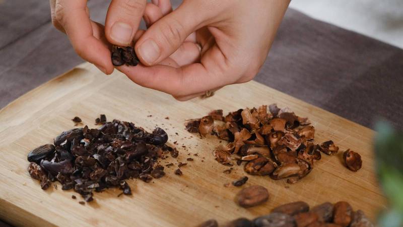 Cacao Powder vs Cocoa Powder: Differences Revealed 2 Cacao cocoa difference