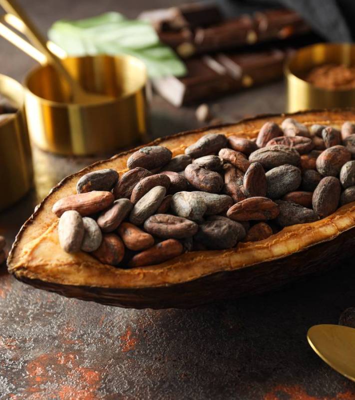 Cacao Powder vs Cocoa Powder: Differences Revealed 3 Cacao Powder vs Cocoa Powder: Differences Revealed 1