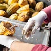 Final results Inspirations and guide