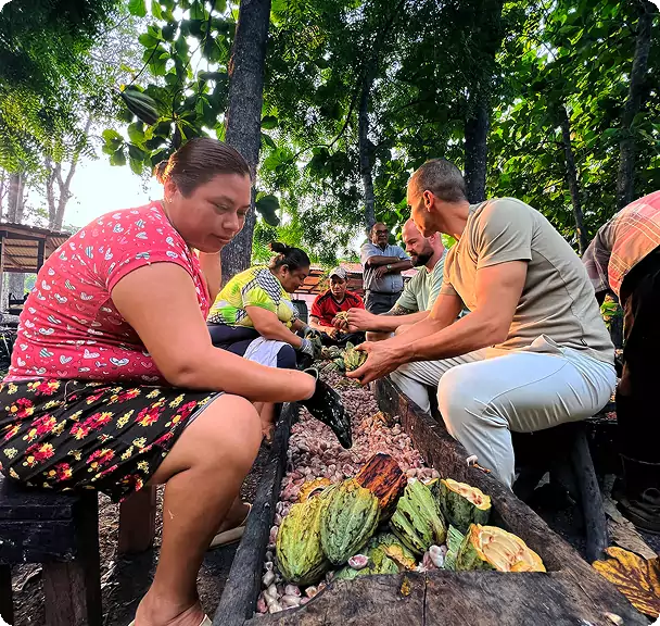 Our Story 1 Our Story 1