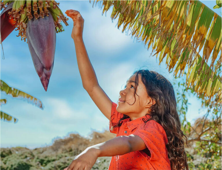 À la Rencontre des Cacaoculteurs Mexicains qui Cultivent pour un Avenir Durable 6