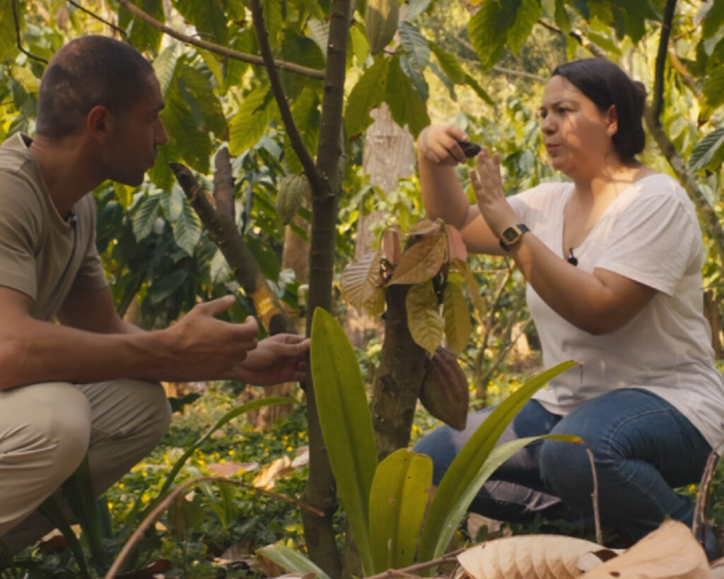 What We Learned at Finca Las Delias: Lessons from a Mexican Cocoa Farmer 3 What We Learned at Finca Las Delias: Lessons from a Mexican Cocoa Farmer 3