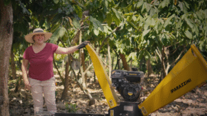Cocoa and Compost: Reviving the Soil in Mexico's Cocoa Farms 4
