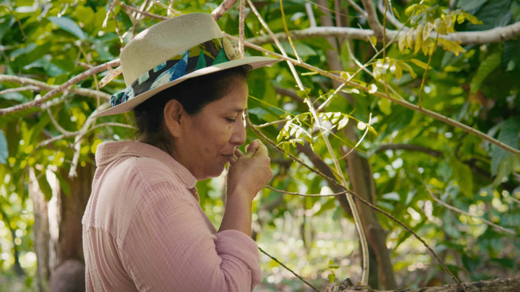Regenerating Land, Culture and cocoa at Hacienda de la campesina 7