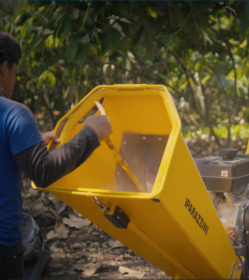 Cocoa and Compost: Reviving the Soil in Mexico's Cocoa Farms 4