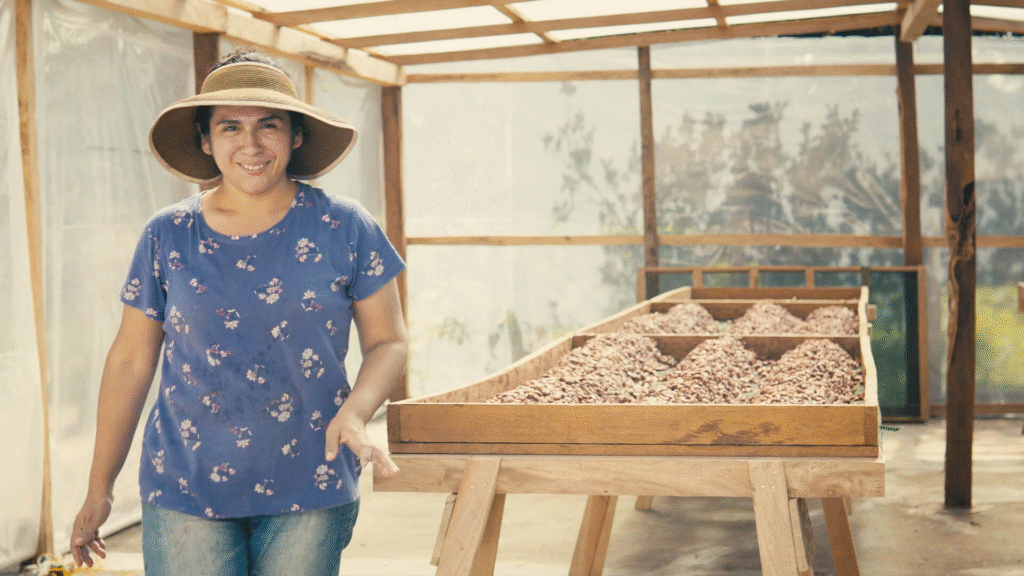 What We Learned at Hacienda RC: Lessons from a Mexican Cocoa Farmer 13