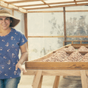 What We Learned at Hacienda RC: Lessons from a Mexican Cocoa Farmer 10