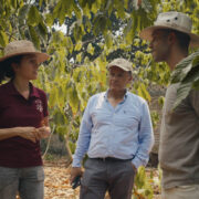 What We Learned at Finca Cacayo: Lessons from a Mexican Cocoa Farmer 9