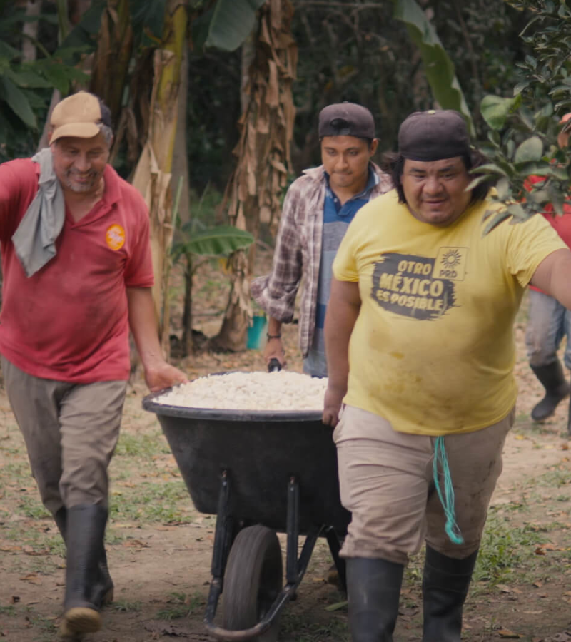 What We Learned at Finca Cacayo: Lessons from a Mexican Cocoa Farmer 4