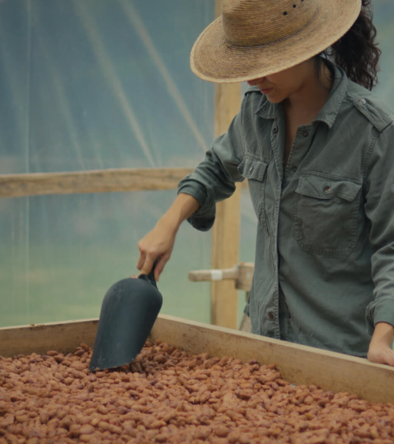 What We Learned at Finca Cacayo: Lessons from a Mexican Cocoa Farmer 3