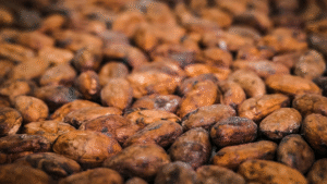Roasting Cocoa Beans 5