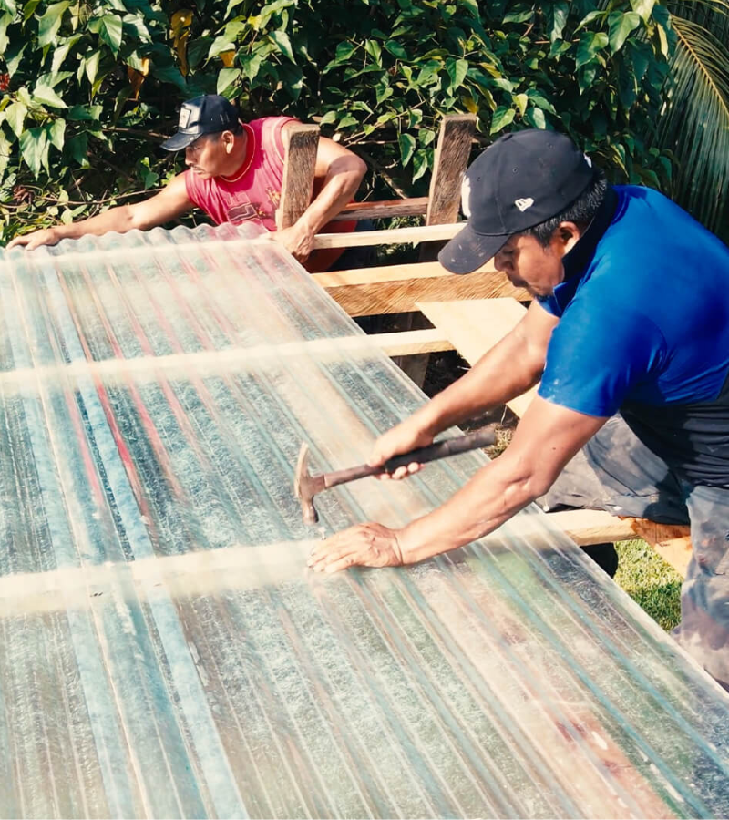 Drying Under Pressure:  How Two Cocoa Farms Are Adapting to Climate Challenges 5