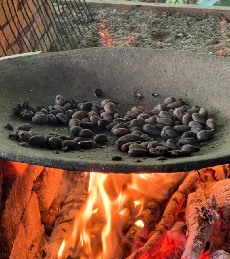 Cacao bean processing: roasting step