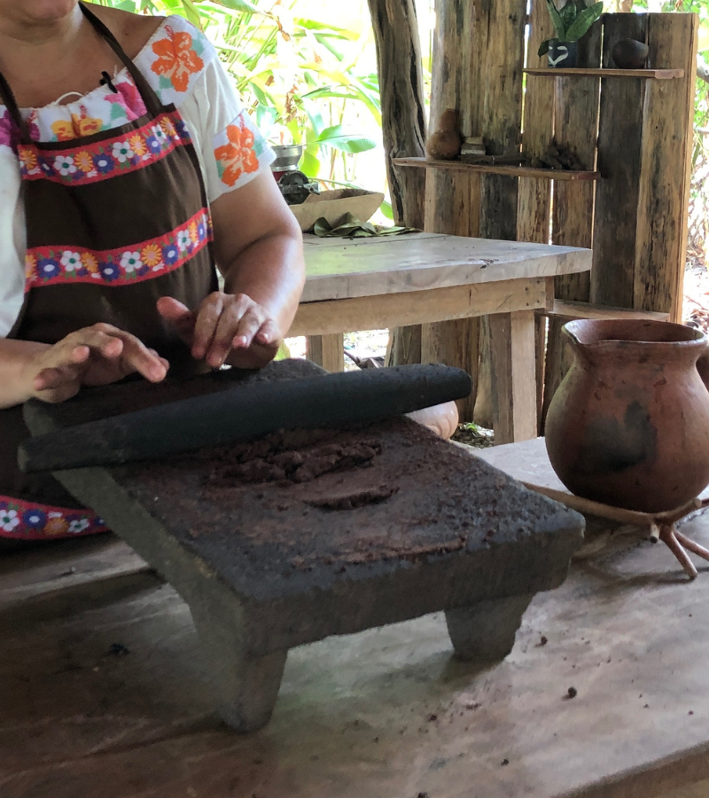 What We Learned at La Campesina del Cacao: Lessons from a Mexican Cocoa Farmer 6