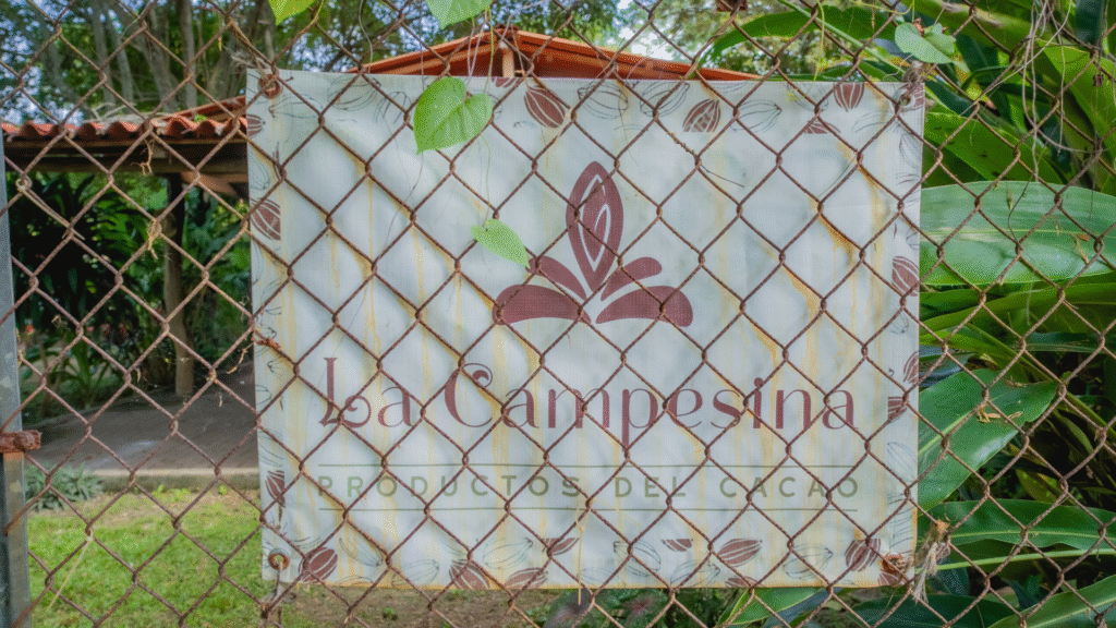 What We Learned at La Campesina del Cacao: Lessons from a Mexican Cocoa Farmer 8