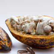 What Are Cacao Beans? Everything You Need to Know 2